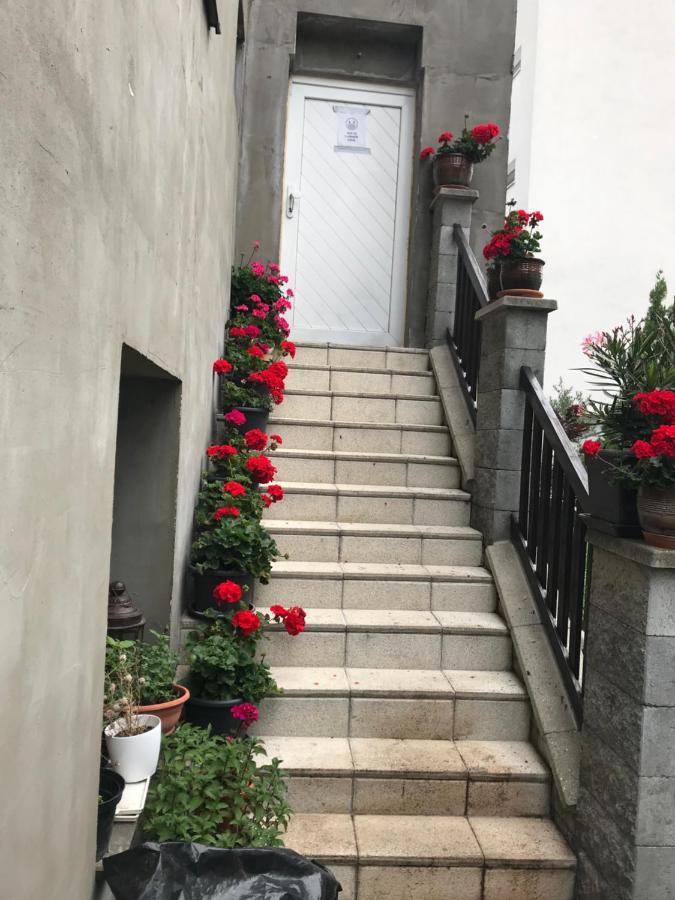 Penzion Vilo Bratislava Exteriör bild